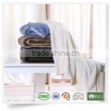 New Style Polar Plain Super Soft Glossy Flannel Blanket Factory Price High Quality Wholesale thumbnail-4