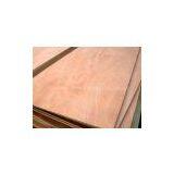 Waterproof Phenolic Plywood Sheet thumbnail-2