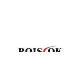 Roiscok Electronics Ltd