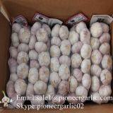 5-5.5cm Fresh Normal White Garlic In 5kg Carton Box Packing thumbnail-4