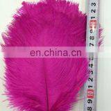 Professional Supplier Chrismas Ostrich Feather Decorations thumbnail-1