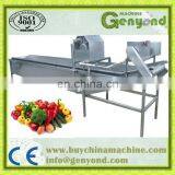 High Quality Washing Machine|Dragon Fruit Washing Machine|Vegetable Washing Machine thumbnail-2