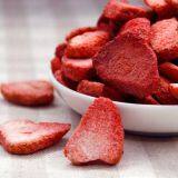 Strawberry Drying Machine thumbnail-5