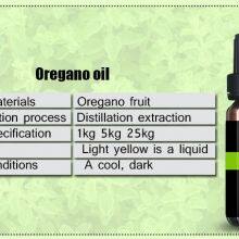 Oregano Oil Essential Oil Feed Additives Raw Material for Medicine thumbnail-3