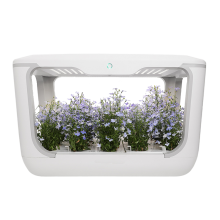 Hydroponics Grow Boxindoor Grow Box Microgreen Growing System Automatic Grow Box thumbnail-3