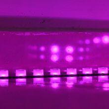 Hihg Brightness Waterproof Flexible Led Wall Washer Light 24V Digital Rgb Colorful Led Wall Washer Strip Light thumbnail-3