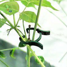 Plant Garden Clips Planting Support Grippers Great for Flower Vine and Vegetable Seedling Support Clips thumbnail-4