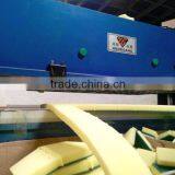 Precision Hydraulic Four Column Plane Epe Cutting Machine