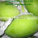 FRESH VIET NAM MANGO HIGHT QUALITY, GOOD PRICE thumbnail-4