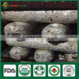 Wholesale Factory Price China Supplier Organic Shiitake Mushroom Growing Kits Bag thumbnail-1