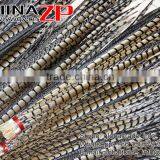 CHINAZP Exporting Wholesale Top Quality Large Natural Beautiful Lady Amherst Pheasant Tail Feathers for DIY thumbnail-4