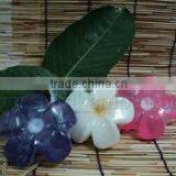 Premium Flower With Robe Solid Glycerin Soap