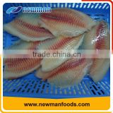 Skinless frozen tilapia fillet wholesale cheap types of canned fish factory wholesalers