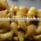 Fresh Wet Ginger thumbnail-6