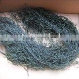Dried Seaweed thumbnail-1