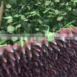 2016 Kunming Fresh Cut Flowers Fresh Cut Roses Wholesale Price thumbnail-3