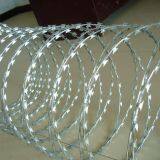 Concertina Razor Ribbon Barbed Wire Fence Razor Wire thumbnail-1