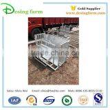 Sheep Livestock Farming Equipment thumbnail-4