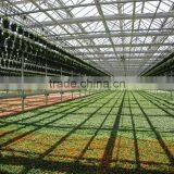 Commercial Polycarbonate Frame Greenhouse thumbnail-1