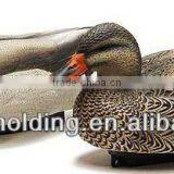 Guandong Large Blow Mold Plastic Duck Decoys