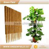 Wholesale Coconut Plant Support Stick Coco Pole thumbnail-2