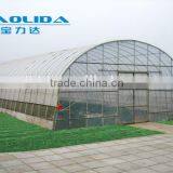 Baolida Simple Tunnel Green House thumbnail-3