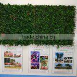 CHY040901 Decorative Garden Wall/ Hanging Wall Withplants/vertical Plant Wall thumbnail-1