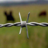 China Hebei Anping Manufacturer Barbed Wire Good Quality thumbnail-5