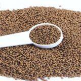 Is The Higher The Fish Feed Protein Content The Better?