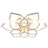 Modern Simple Acrylic Led Ceiling Light for Living Room