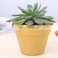 Indoor Succulent Mini Ceramic Plant Pots thumbnail-3