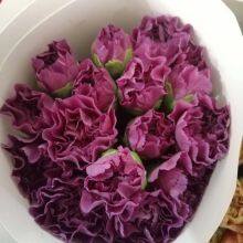 Fresh Cut Berry From China China Fresh Flower Supplier thumbnail-5