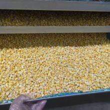 Factory's Hot Selling Freeze Dried Sweet Corn thumbnail-4