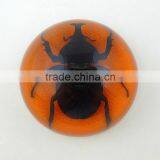 2016New Design Wholesale Paperweight With Real Insect thumbnail-5