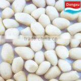 Blanched Peanut 41/51 51/61