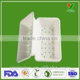 2015 OEM Compostable Custom Plastic Vaccine Tray
