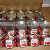 70gram Canned Tomato Paste Packed in 50 Tins per Carton thumbnail-2