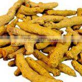 Turmeric thumbnail-1