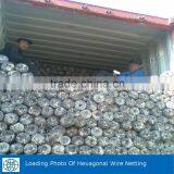 PVC Coated / Hot Dipped Galvanized Hexagonal Wire Netting thumbnail-6