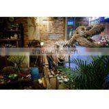 Shishi Shinetie Trading Co., Ltd. company overview - view 2 thumbnail