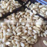 New Crop Chinese Pinenut Kernels thumbnail-2