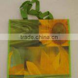 Reusable PP Woven Shopping Bag(KL08S003)