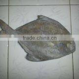 FROZEN BLACK POMFRET WHOLE ROUND thumbnail-1