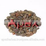 Terminalia Chebula / Harrad / Black Himej thumbnail-6