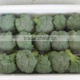 broccoli for sale 2012