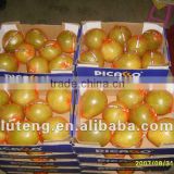 Chinese Bulk Fresh Honey Pomelo Fruit