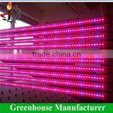 Hot Sale Led Led Light for Greenhouse
