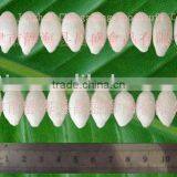 Roasted and Salted Pumpkin Seed thumbnail-1