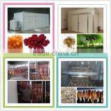 2015 High-tech Factory Price Cost Effective Automatic Control Fruit and Vegetable Dryer thumbnail-4