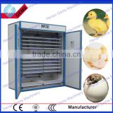 new type quail egg incubator for sale